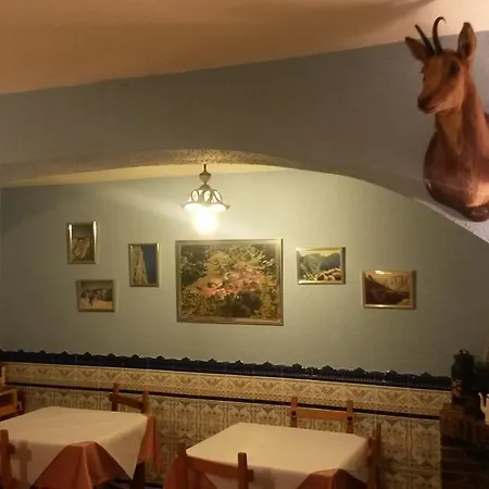 Hostal La Plaza-2